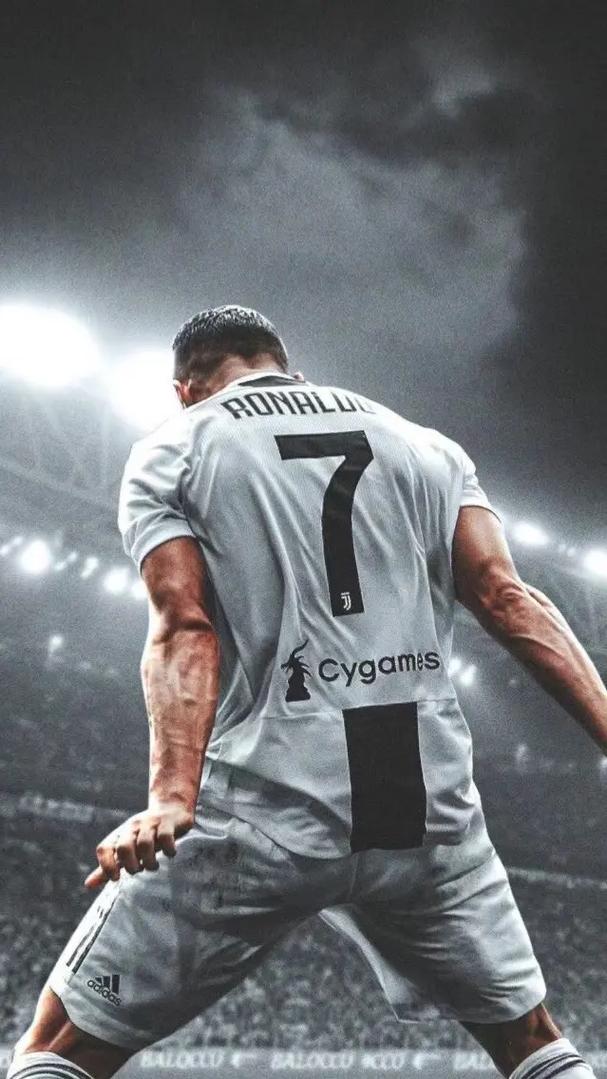 荷兰足协及所有荷兰俱乐部发布声明：呼吁对闹事球迷提起诉讼